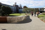 Kenneth Hunt Garden