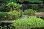 Postcard: Fazenda Vargem Grande by Roberto Burle Marx