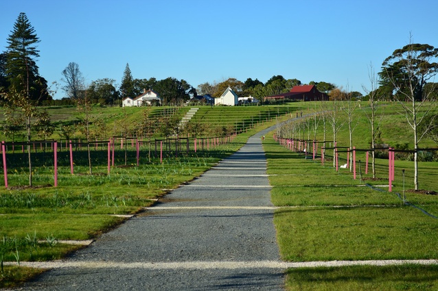auckland landscape architects colour me rad architecture now auckland landscape architects colour me rad architecture now