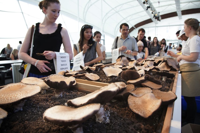 Snapshots of Urbis Designday® 2012