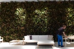 Milan 2013 report