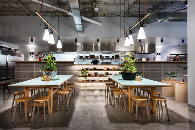 Chilli Panda by Mata Design Studio.