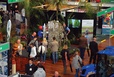 Landscape Australia Expo