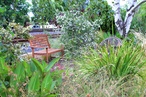 Border force: Unofficial gardening