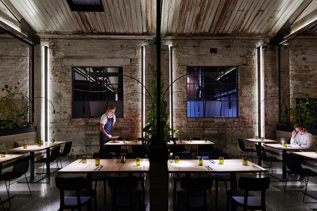 Transformer Fitzroy by Breathe Architecture.
