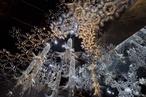 Philip Beesley: Being responsive
