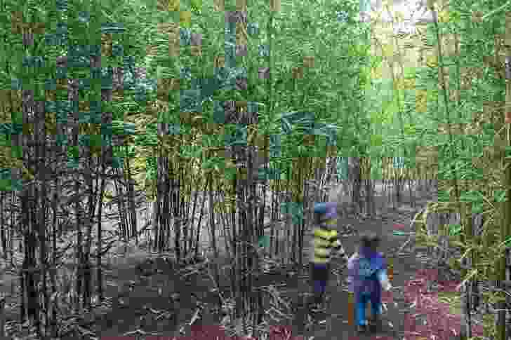 A bamboo forest replete with tunnels invites children to explore, the sounds of the wind through the leaves creating an immersive, multi-sensory experience.