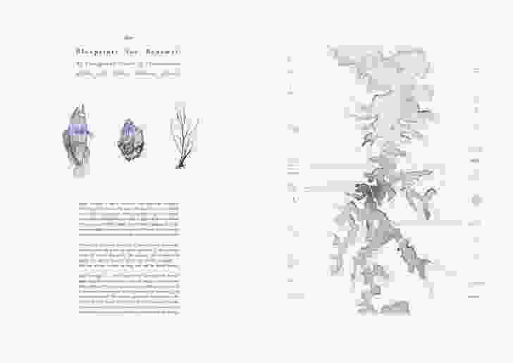 Surface Tension: Blueprints for Observing Contamination in the Sydney Harbour Estuary by Victoria King.