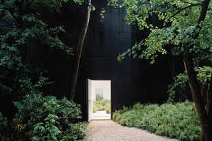 Environment, habitat and cultural history: Repair
