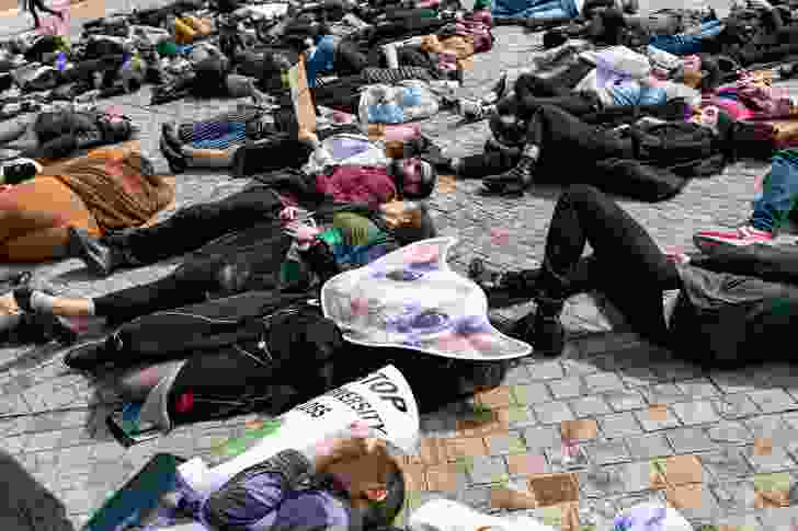 Delegates participated in a biodiversity “die-in”, protesting against the impacts of urban development on biodiversity.