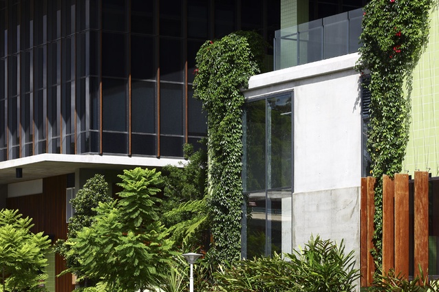 The landscape blurs the distinction between indoors and outdoors, horizontal and vertical, built and unbuilt, creating a contemporary expression of subtropical living which is sustainable, and supremely adaptable to future change.