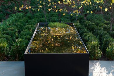 Adelaide Villa Garden by Taylor Cullity Lethlean.