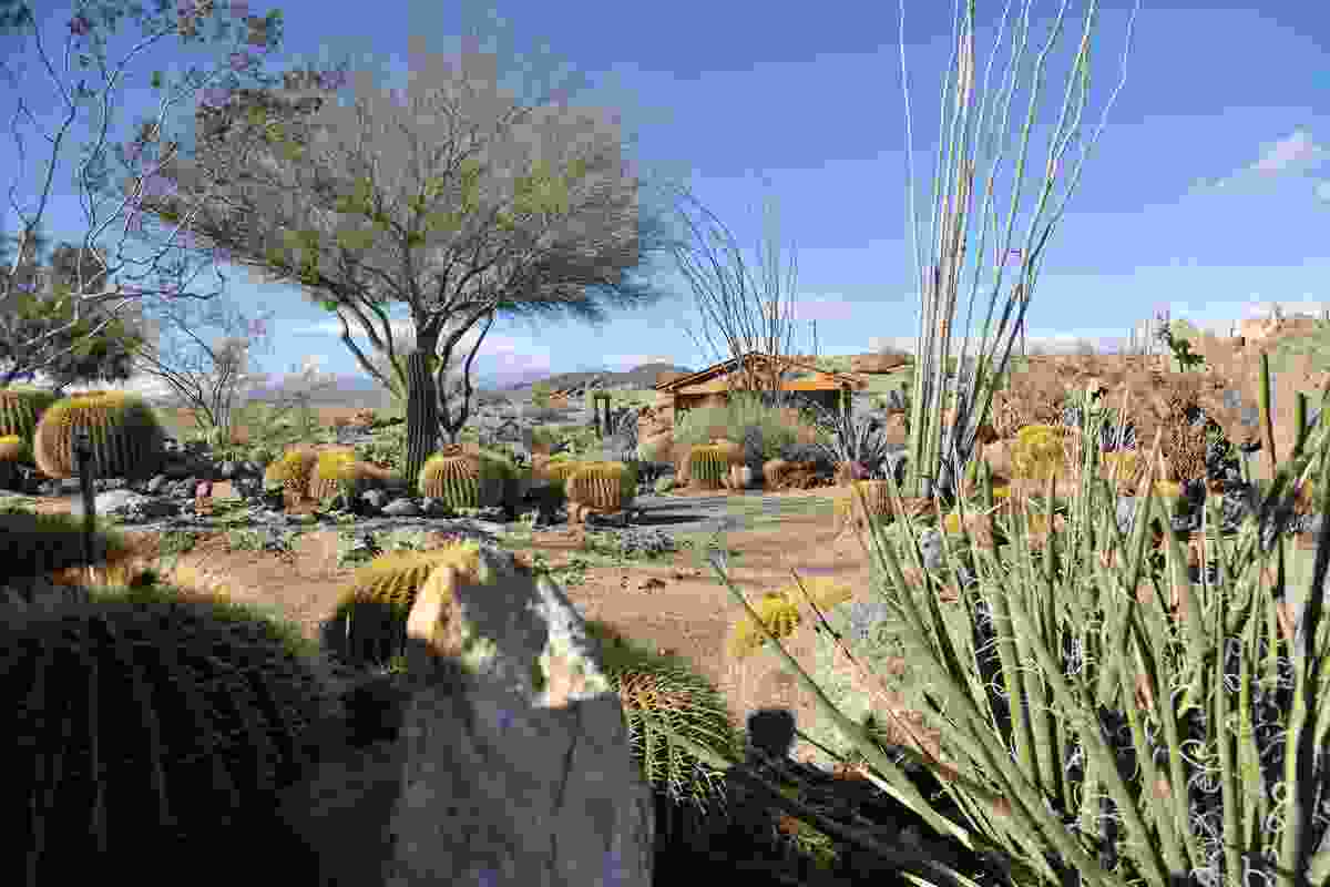 The Mojave Rock Ranch, just north of Joshua Tree National Park in the USA, is the project of Troy Williams and Gino Dreese, landscape architects and garden builders.