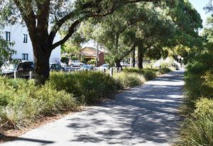Our mental health benefits when nature is part of our neighbourhoods, as in this residential street in Fitzroy, Melbourne.
