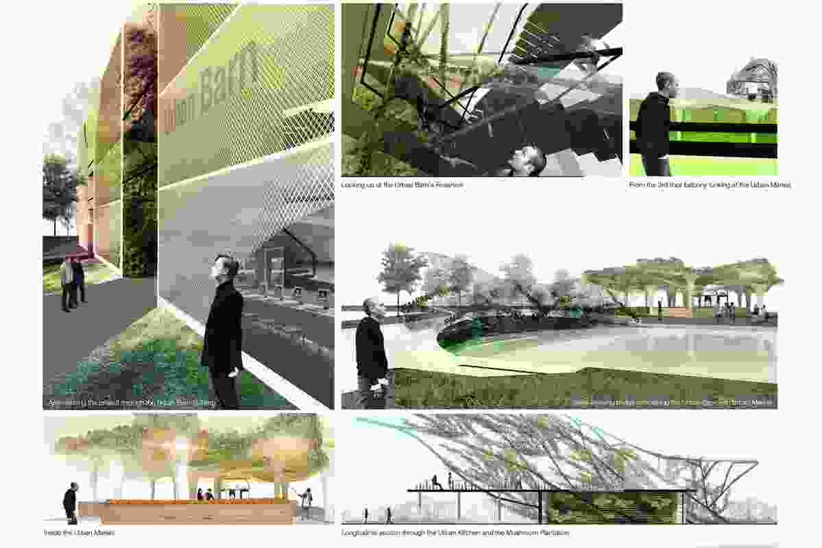 Silver medal winner: Urban agriculture and factory conversion, Bangkok, Thailand.