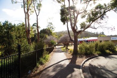 In 2019, mass plantings at Rosny Park continue to define the wild edge, dianellas have self-replicated in the understory to the left and to the right Callistemon pallidus and dianellas cluster together to deter weeds.