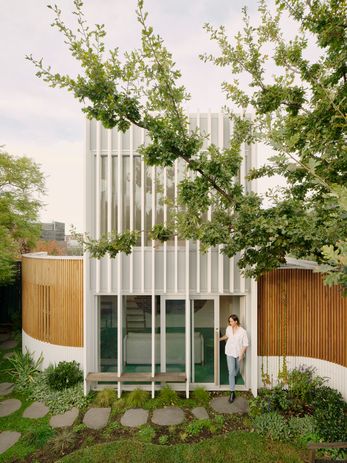 The north-facing studio pops up to draw in light and frame a treetop view.