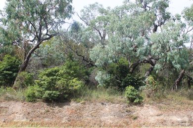 In the Melbourne suburb of Lysterfield, a mesic shift from degraded fire-prone sclerophyll forest to dry rainforest, less vulnerable to bushfires, has been taking place