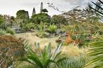 The Cultivated Wild: Gardens and landscapes by Raymond Jungles