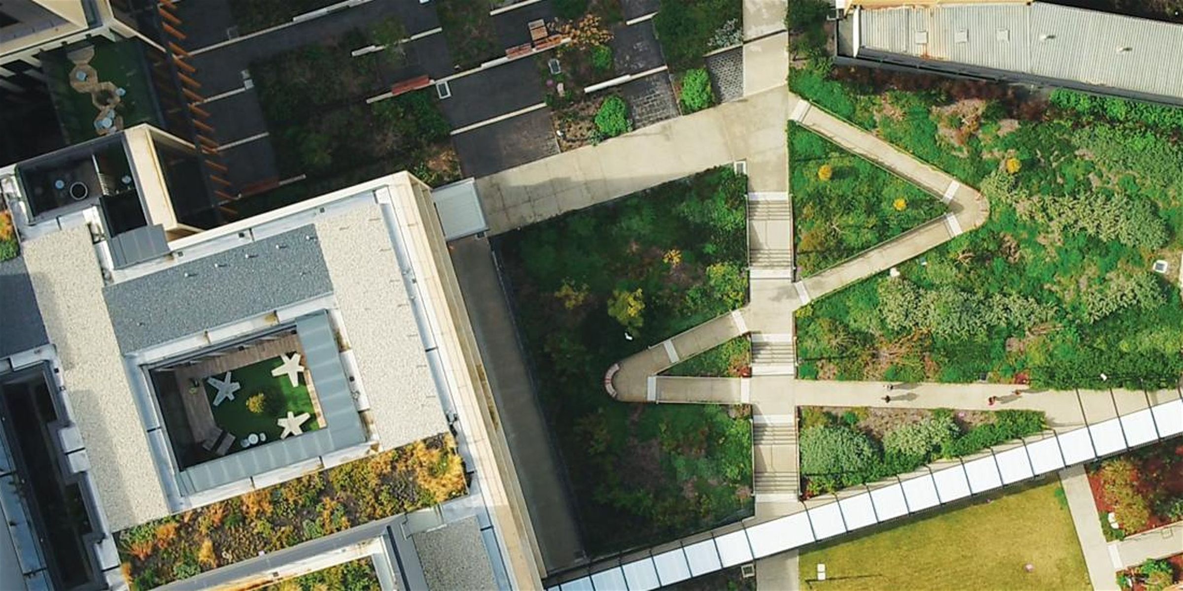 Transformative landscapes: Designing the healthy city | Landscape Australia