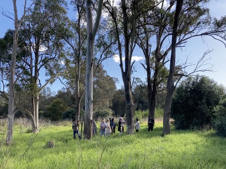 Elders, including Aunty Jacinta Tobin, lead a group out on Country where, as if guided by Ancestors, they discovered three scar trees.