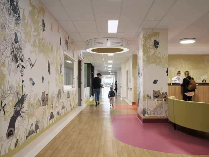 نقاشی های اریکا سکومب از گیاهان و جانوران استرالیا دیوارهای بیمارستان را می پوشاند.