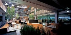 Cafe spaces in the base of the western atrium.