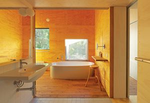 The Sorrento House uses C-D face plywood.