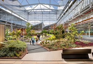 Tonsley Innovation District (Adelaide, South Australia) by Oxigen, Woods Bagot, Tridente Architects, KBR, WSP and Renewal SA.