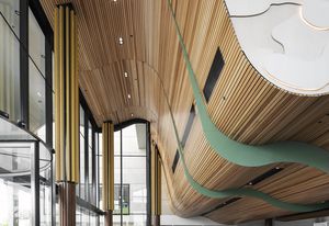 Screenwood ceilings at ACT Law Courts.