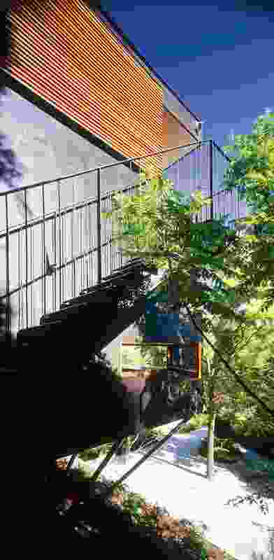 Carport Treehouse forms a bridge between street and garden on steep site.