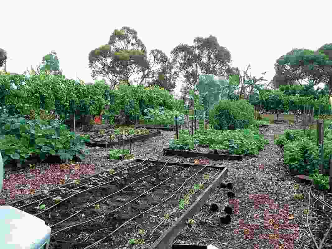 The garden prior to the commencement of Outerspace’s stage 1 concept plan.