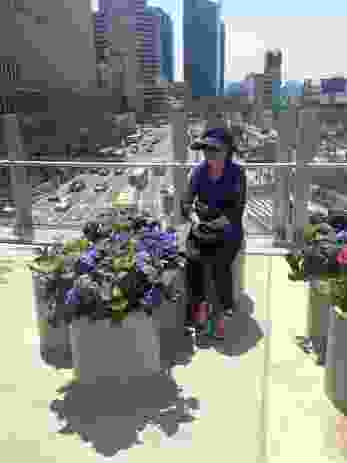 A lady poses next to blue hydrangeas.  