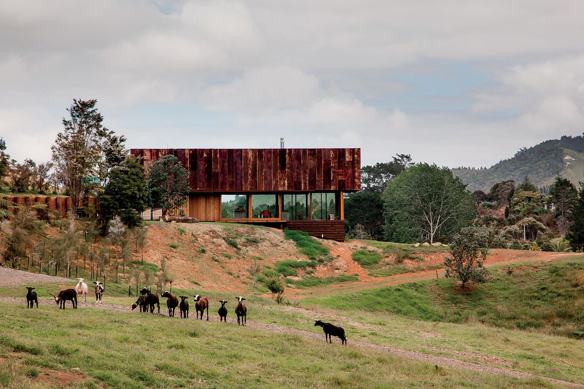 New Zealand's best houses of 2016 | ArchitectureAu