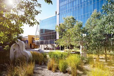 In the central rain garden native sedges and grasses grow from a bed of local crushed granite. Artwork: Weeping Women by Sanné Mestrom, 2014 (sculptures).