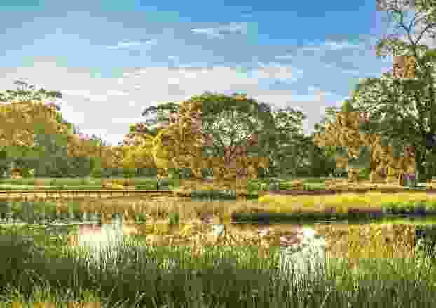 South Parklands Wetland by TCL