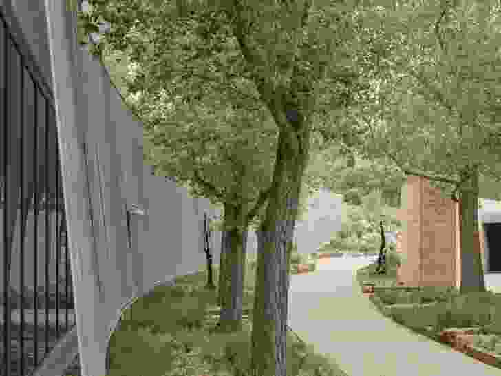 A central sculpture walk follows the arc of the two buildings and hosts a mix of Indigenous planting and existing poplar trees whose canopy softens the edges of the carpark above. Artworks: Lenton Parr, Robert Klippel.