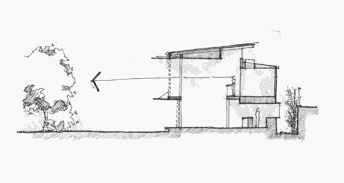 Sectional sketch of Corymbia by Paul Butterworth Architect.