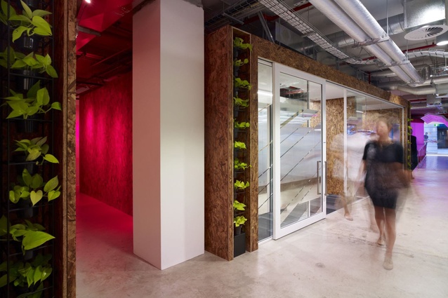 McCann World Group + CMG Advertising Headquarters, Sydney – futurespace.