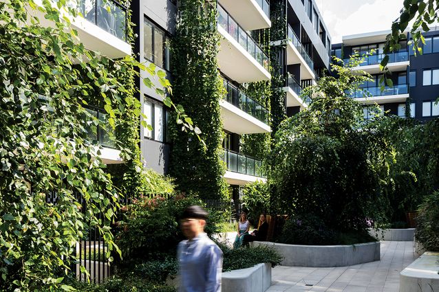 A common green: The Eve Apartments | Landscape Australia