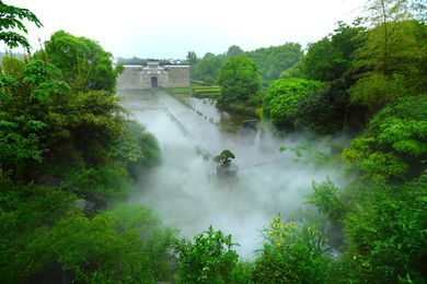 New public park and hotel gardens in Shanghai incorporate recovered camphor trees