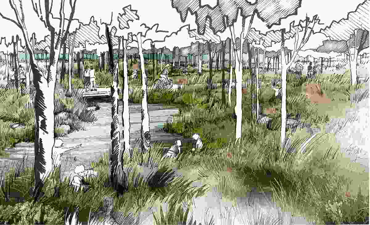 Big Plans for Small Creek: Small Creek Naturalization by Landscapology and Bligh Tanner with Ipswich City Council