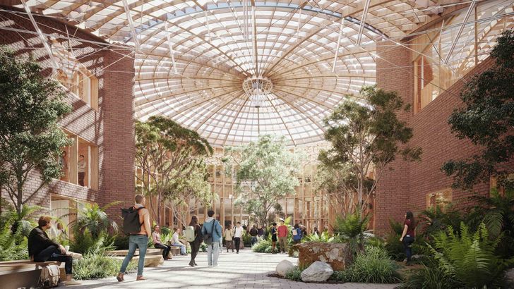 The Forest by Woods Bagot.