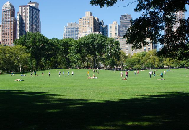 People gather in Central Park, New York.