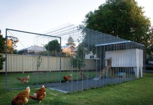 The coop is a self-supporting, frameless, galvanized steel mesh structure.