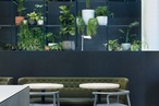 2016 Eat Drink Design Awards: Best Cafe Design winner