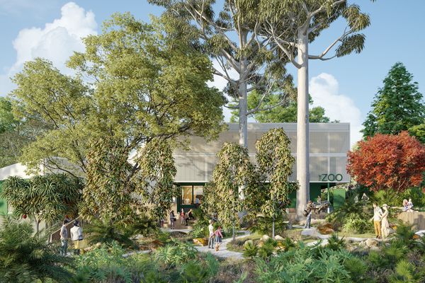 The proposed Rockhampton Zoo visitor hub designed by Cox Architecture with local collaborators Design and Architecture