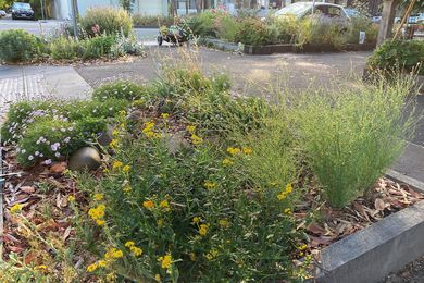 More than 70 gardens make up the eight-kilometre Melbourne Pollinator Corridor.