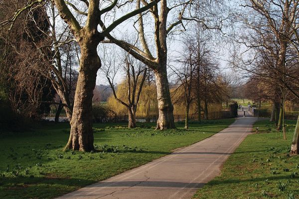 A naturalistic path through a London Park.