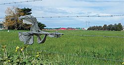 Cranbourne – the relentless push of new housing estates into older landscapes. Photographs by Anna Johnson.